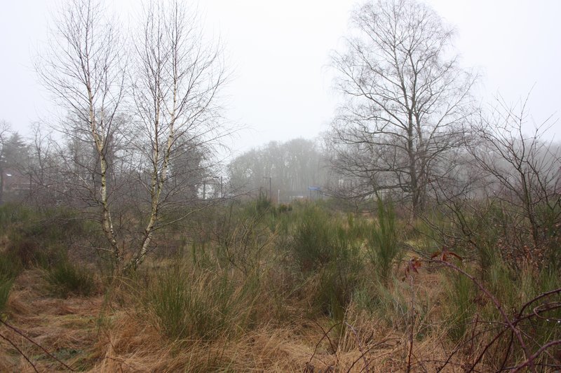 Station gezien vanaf de Mookerheide