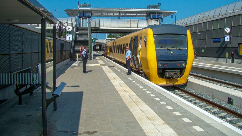 Buffel op het nieuwe station