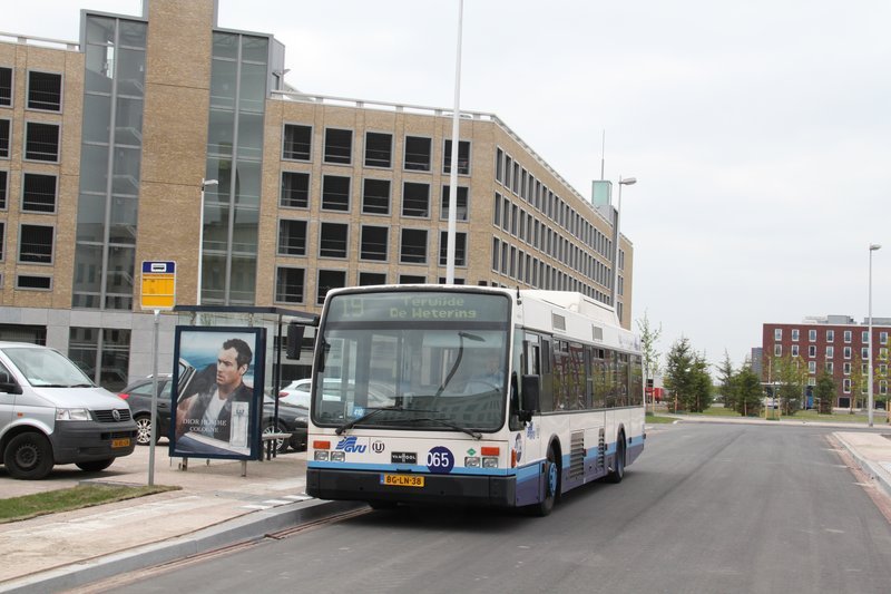 Buslijnen 19, 30 en 39 stopten vroeger, vlak na de opening, aan de noordzijde van station Leidsche Rijn. Ten zuidoosten van het station is er sinds eind 2017 een definitief busstation.