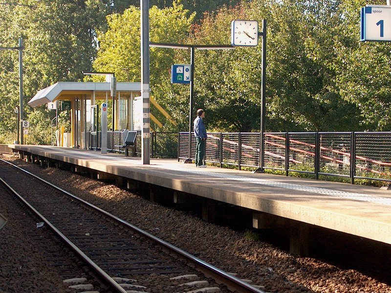 Spoor 1 van station Zaandam Kogerveld